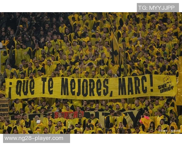 德甲激战：多特蒙德逆转利物浦绝杀时刻震撼全场精彩回顾